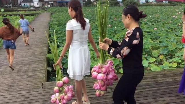 Alasan Taman Bunga Ditutup Bikin Geleng Kepala